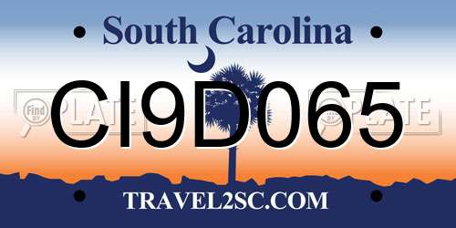 CI9D065 South Carolina License Plate