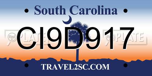 CI9D917 South Carolina License Plate