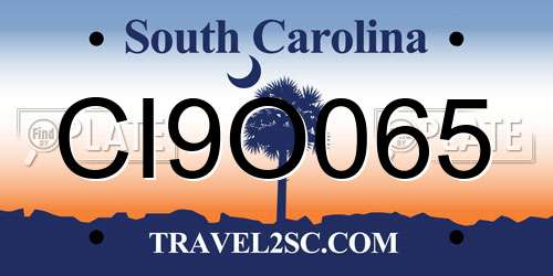CI9O065 South Carolina License Plate
