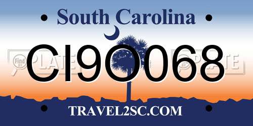 CI9O068 South Carolina License Plate