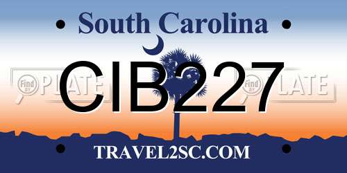 CIB227 South Carolina License Plate