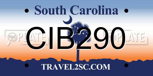 CIB290 South Carolina License Plate