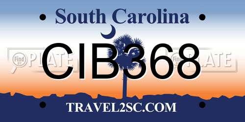 CIB368 South Carolina License Plate
