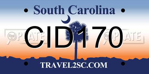 CID170 South Carolina License Plate