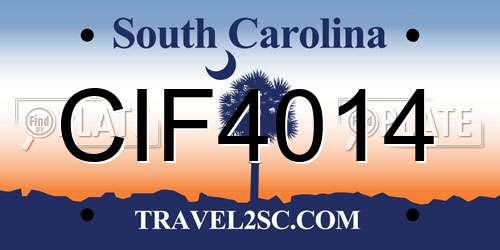 CIF4014 South Carolina License Plate
