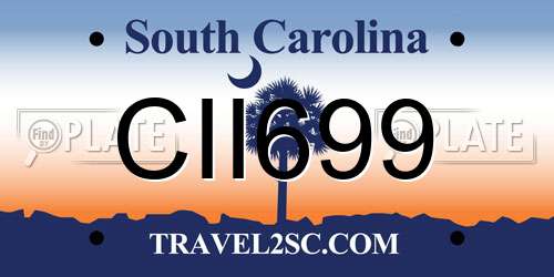 CII699 South Carolina License Plate