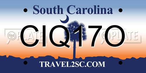 CIQ17O South Carolina License Plate