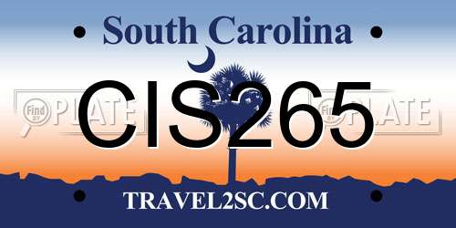 CIS265 South Carolina License Plate