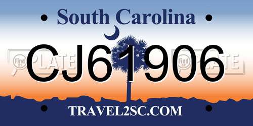 CJ61906 South Carolina License Plate