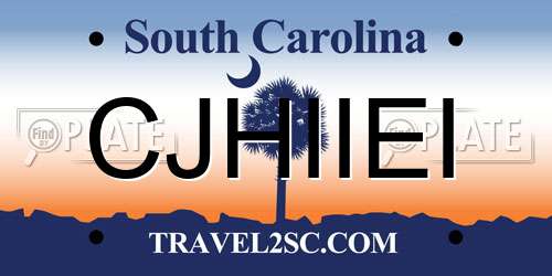CJHIIEI South Carolina License Plate