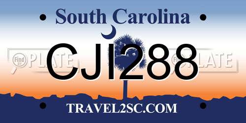CJI288 South Carolina License Plate