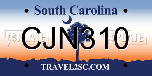 CJN310 South Carolina License Plate