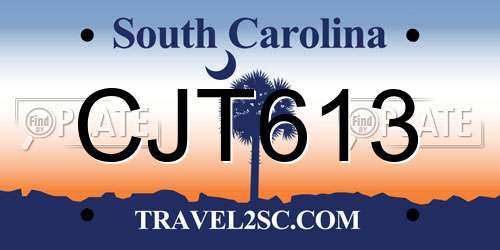 CJT613 South Carolina License Plate