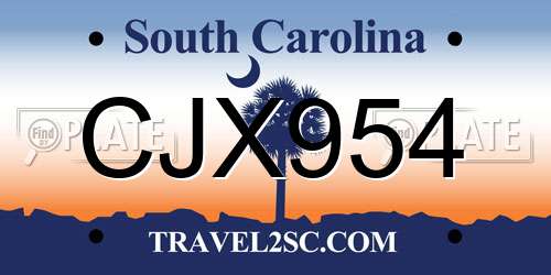 CJX954 South Carolina License Plate