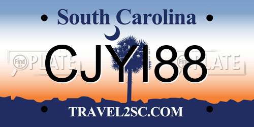 CJYI88 South Carolina License Plate