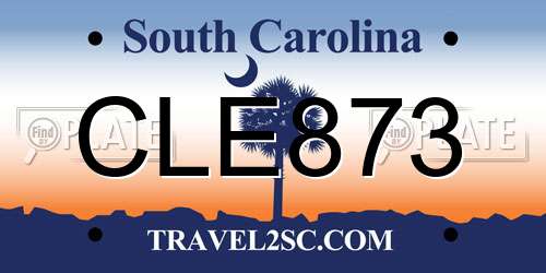 CLE873 South Carolina License Plate