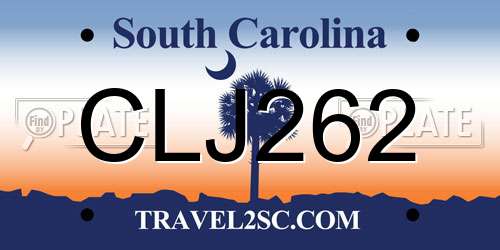CLJ262 South Carolina License Plate