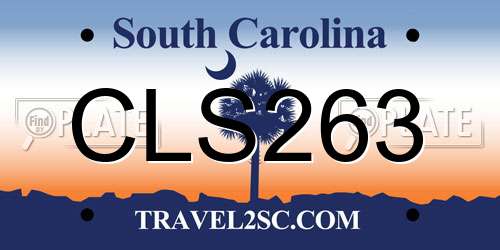 CLS263 South Carolina License Plate