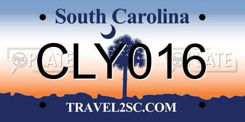 CLY016 South Carolina License Plate