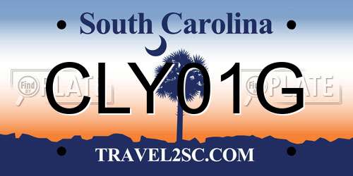 CLY01G South Carolina License Plate