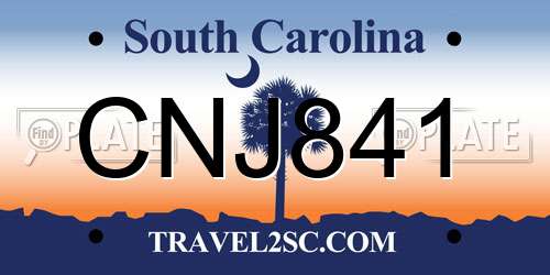 CNJ841 South Carolina License Plate
