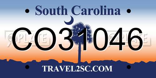 CO31046 South Carolina License Plate