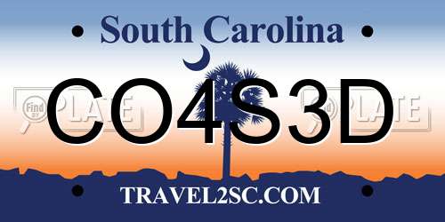 CO4S3D South Carolina License Plate