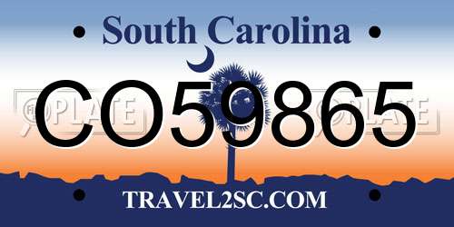 CO59865 South Carolina License Plate