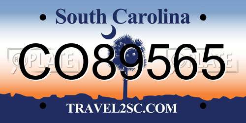 CO89565 South Carolina License Plate