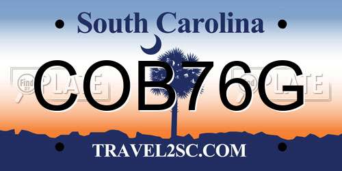 COB76G South Carolina License Plate