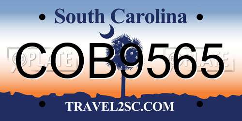 COB9565 South Carolina License Plate
