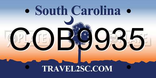 COB9935 South Carolina License Plate