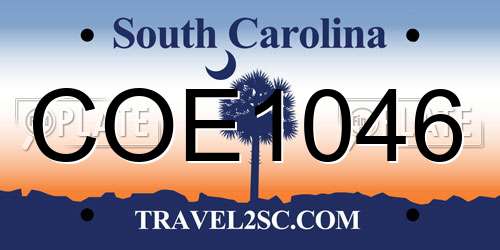 COE1046 South Carolina License Plate