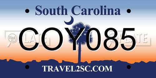 COY085 South Carolina License Plate