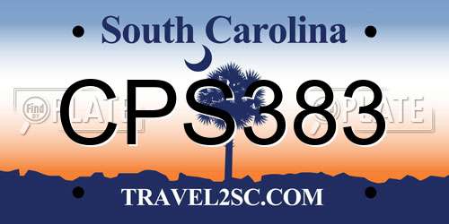 CPS383 South Carolina License Plate