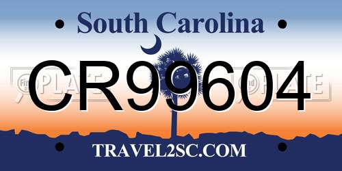 CR99604 South Carolina License Plate