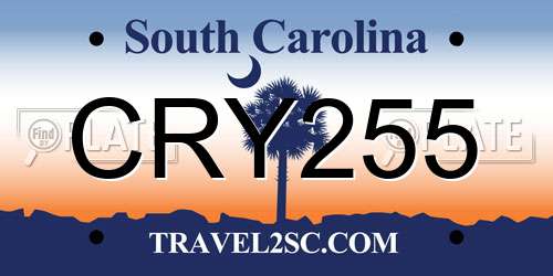 CRY255 South Carolina License Plate