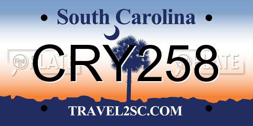 CRY258 South Carolina License Plate