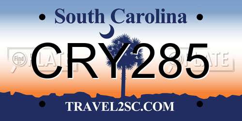 CRY285 South Carolina License Plate