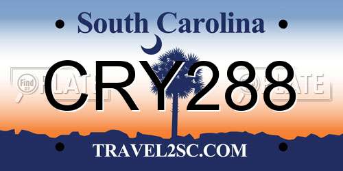 CRY288 South Carolina License Plate