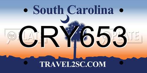 CRY653 South Carolina License Plate