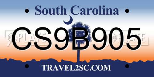 CS9B905 South Carolina License Plate
