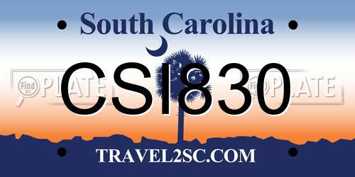 CSI830 South Carolina License Plate