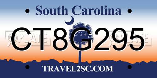 CT8G295 South Carolina License Plate