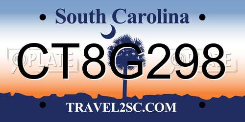 CT8G298 South Carolina License Plate