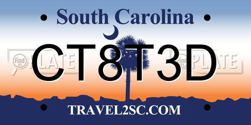 CT8T3D South Carolina License Plate