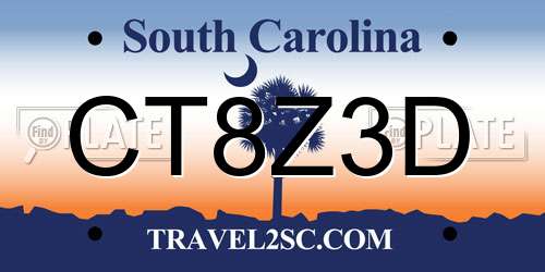 CT8Z3D South Carolina License Plate