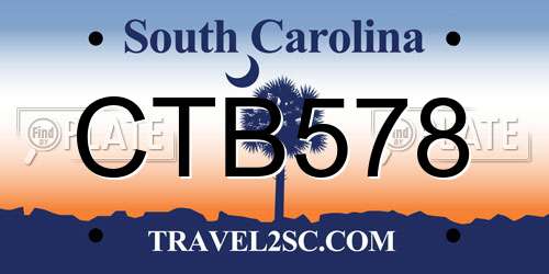 CTB578 South Carolina License Plate