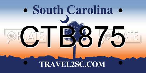 CTB875 South Carolina License Plate