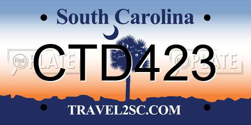 CTD423 South Carolina License Plate